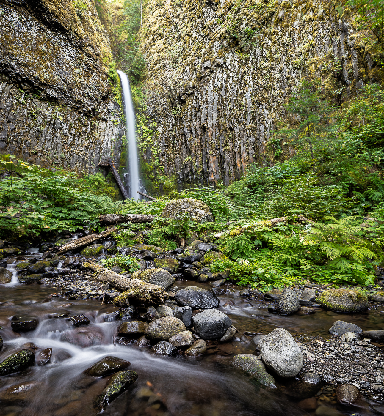 Dry Creek Falls